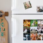 Organizing Decor - a white refrigerator with pictures of animals on it