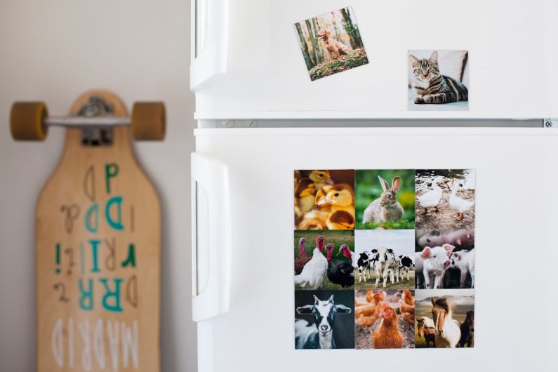 Organizing Decor - a white refrigerator with pictures of animals on it