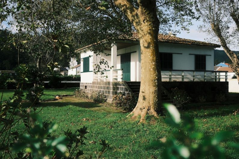 Backyard Cottage - a white house with green shutters and a tree in front of it