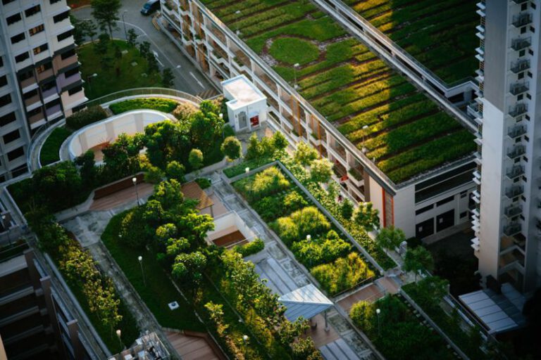 Green Roofs - top view of building with trees